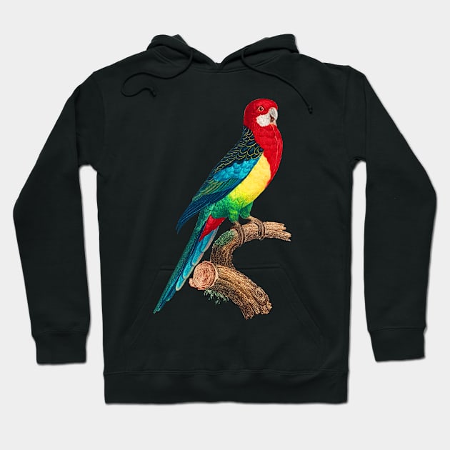 Black Panther Art - Beautiful Parrot 13 Hoodie by The Black Panther